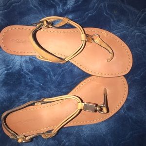 Coach Charleen Ginger T-Strap Sandals